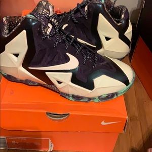 Lebron 11 gator king